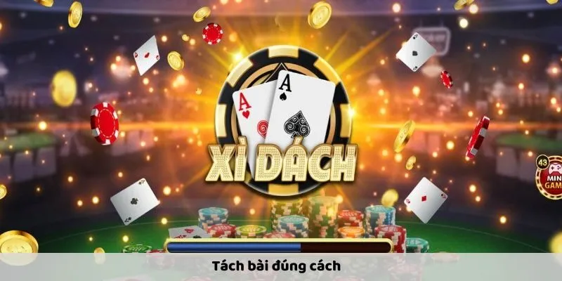xi-dach-4